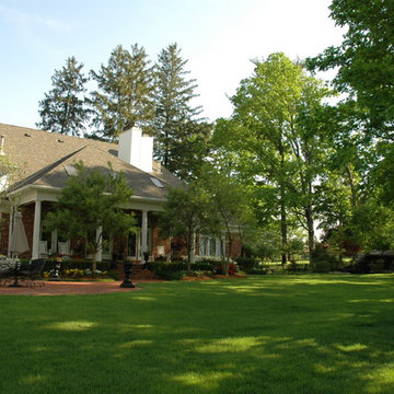 Shady Estate
