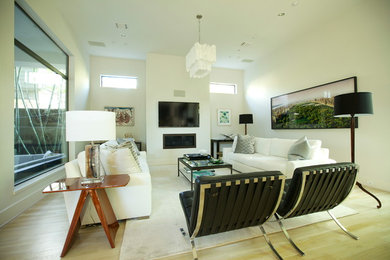 Living room - contemporary living room idea in Houston