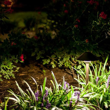 Walkway and Path Lighting