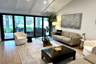 Living room - transitional living room idea in Los Angeles