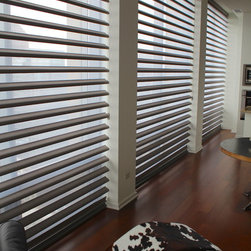 Hunter Douglas Pirouettes - Chicago - Window Treatments