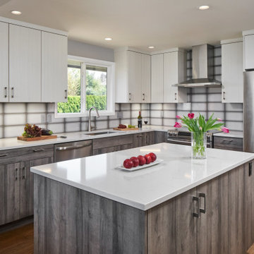 Argay Park Contemporary Kitchen