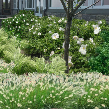 Designing with hardy plants in a harsh coastal site