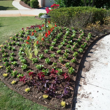Annual Beds