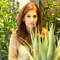 Susan Glick Interiors's profile photo