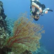 Isaac Willis's photo