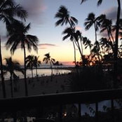 Terri Coleman's photo