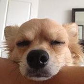 Jessica Hatfield's photo