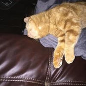 Geri Anderson's photo