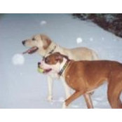 Donna Brugh's photo