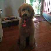 Karen Smoley-Cole's photo