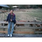 Toh Cheng Hocks foto