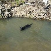 Jody McMurry's photo