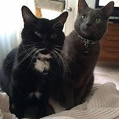 Eva Ware's photo