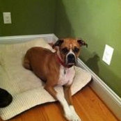 joey wood's photo