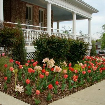 Project Spring Surprise
