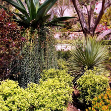 front yard