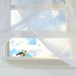 Double-Hung & Single-Hung Windows - Windows And Doors
