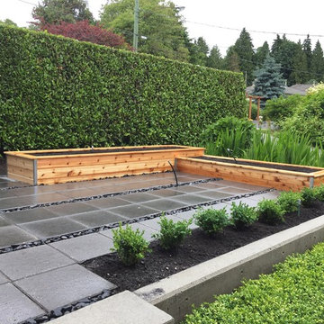 Veggie Beds