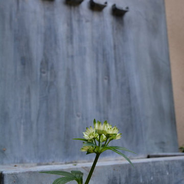 UN PATIO DE VERDURE