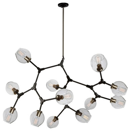 ArtCraft JA14022BK Organic - Twelve Light Chandelier