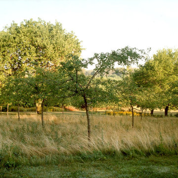 Crabapple Orchard and Meadow