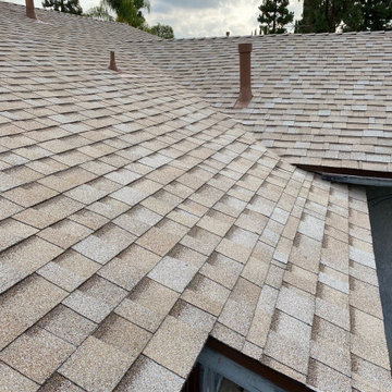 Roofing & Gutters