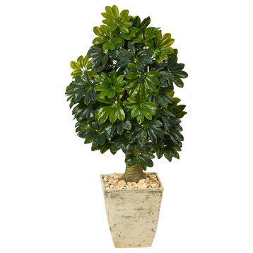 3.5' Schefflera Artificial Tree, Country White Planter, Real Touch