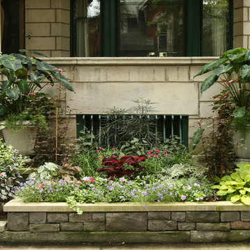 Vignettes