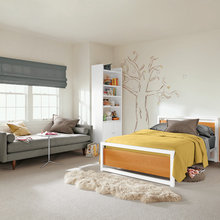 Color schemes