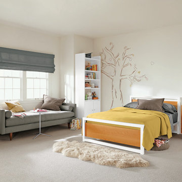 Room & Board