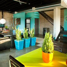 Garage Conversion