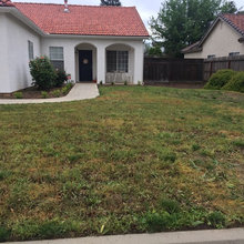 Front Yard