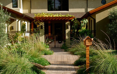 See 5 Native Alternatives to Feather Grass and Fountain Grass
