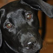Sherri Kittelson's photo