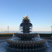 Danielle Flaherty's photo