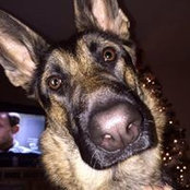 Monica Windom's photo