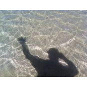 Kevin Crosby's photo