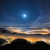 Alicia Arrington's photo