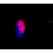 John Brainard's photo