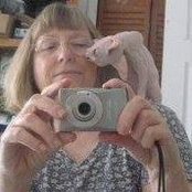 Elaine Clantonさんの写真