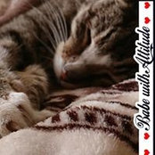 Foto von Lynn Phelps