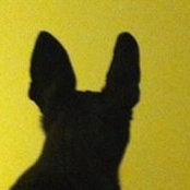 Ileana Rickenbach's photo