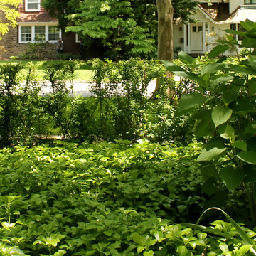 Demington Property