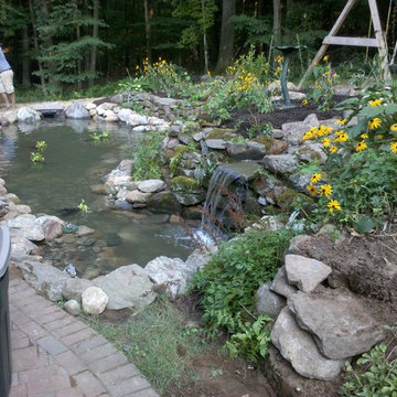 Back Yard Pond - Avon