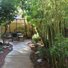 The side yard