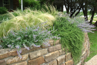 Inspiration for a landscaping in Dallas.