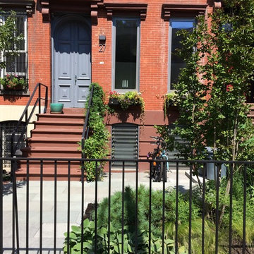 Brooklyn Front 1