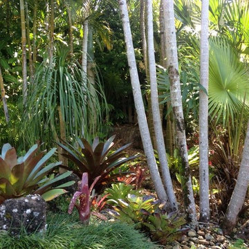 plantings and garden makeovers