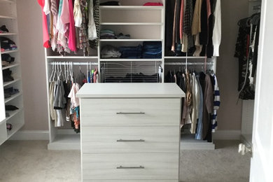 Inspiration for a large transitional women's carpeted walk-in closet remodel in New York with flat-panel cabinets and white cabinets